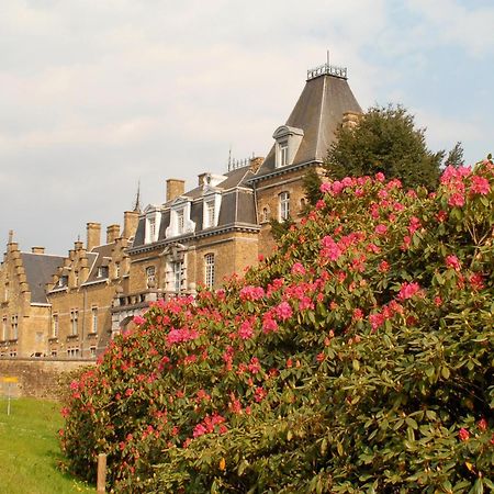 Domaine De Ronchinne - Chateau Et Ecuries Maillen エクステリア 写真