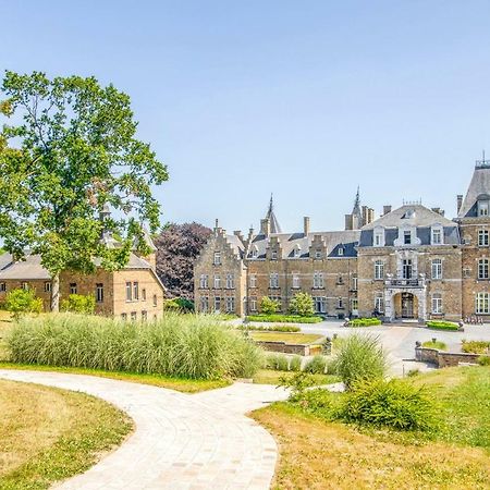 Domaine De Ronchinne - Chateau Et Ecuries Maillen エクステリア 写真