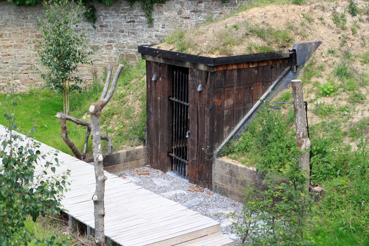 Domaine De Ronchinne - Chateau Et Ecuries Maillen エクステリア 写真