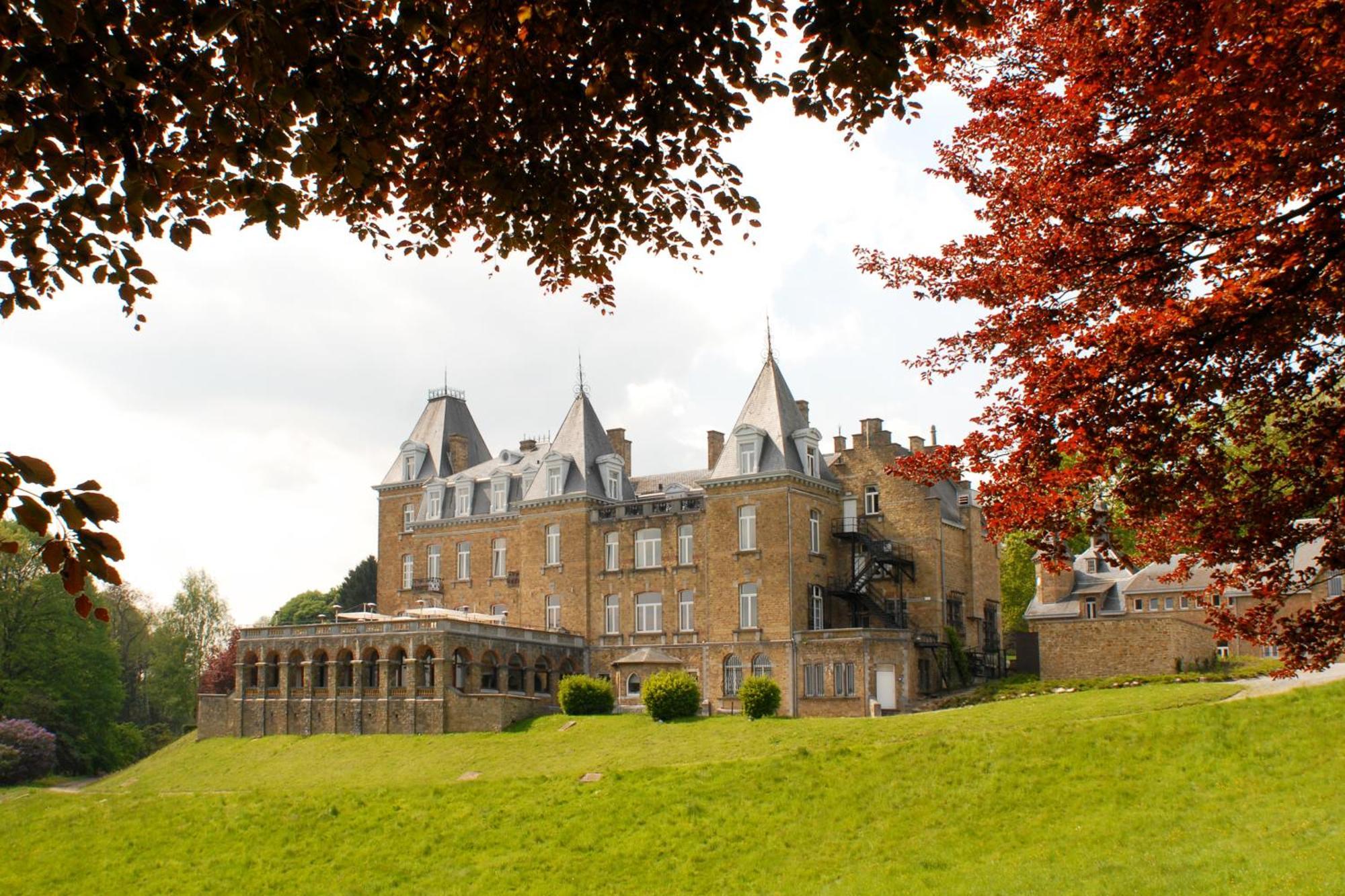 Domaine De Ronchinne - Chateau Et Ecuries Maillen エクステリア 写真